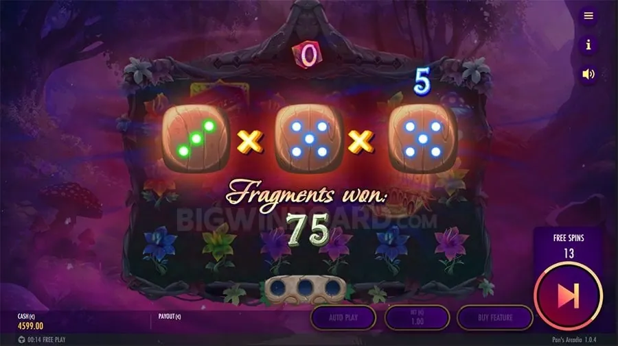 Beginner's Guide to Live Casino